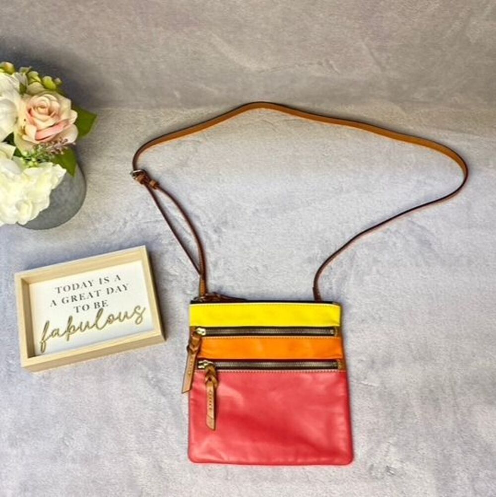 Dooney & Bourke Pebble Grain North South Triple Zip leather ombré crossbody bag